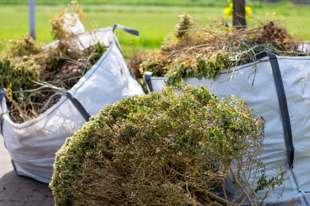 Trusted Piedmont, AL Junk Removal Experts